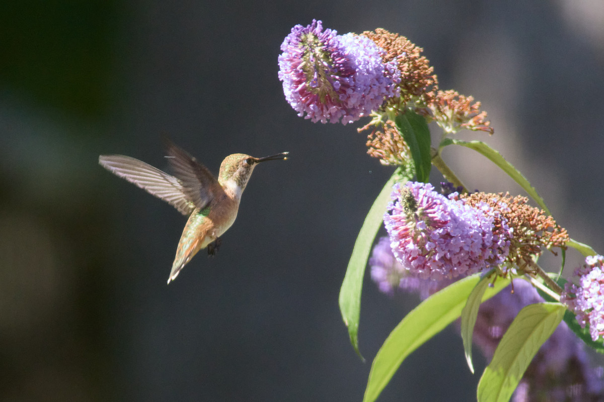 DC0D7465-4926-45A3-83AE-C488F52FCA94