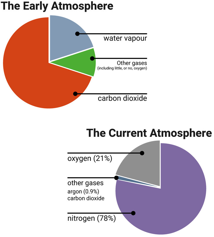 The Earth's Early and Current Atmosphere