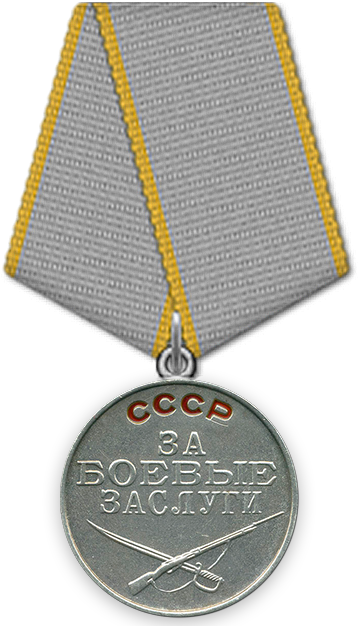 Medal_Za_Boevye_zaslugi