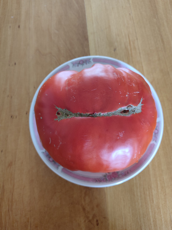 [Слика: IMG-20220824-122828.jpg]