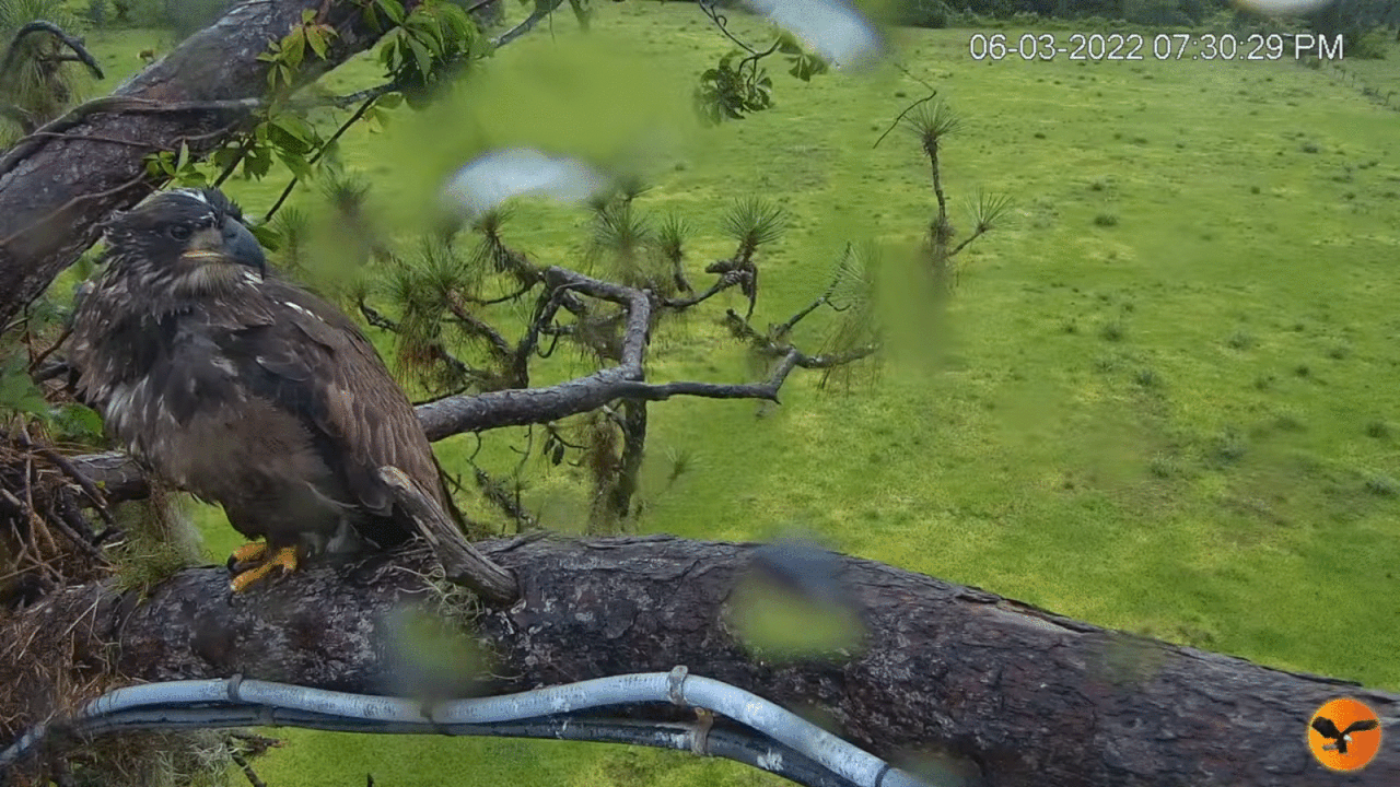 Webp.net-gifmaker (4)