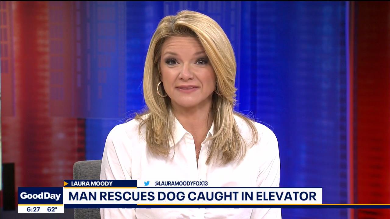 01 January - 11.00.00 - Good Day Tampa Bay @ 6AM. Local news, sp