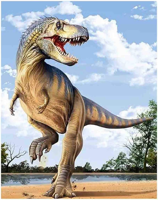 61HfNXriJmL._AC_SL1200_