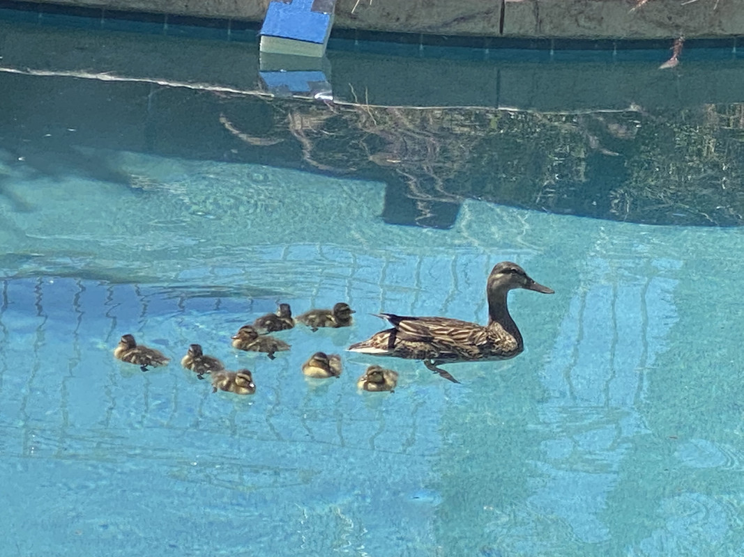 634E0568-3FA6-40F9-95B4-89AD4E14A844