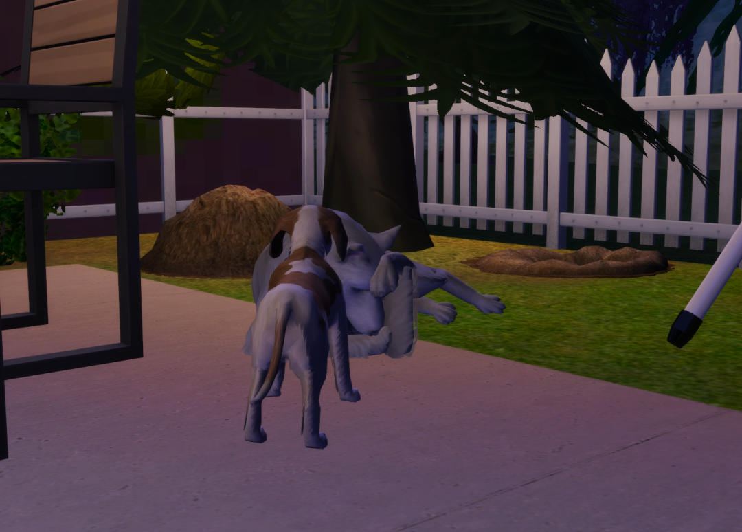 Sims2-EP9-RPC-2024-04-07-13-32-17-52