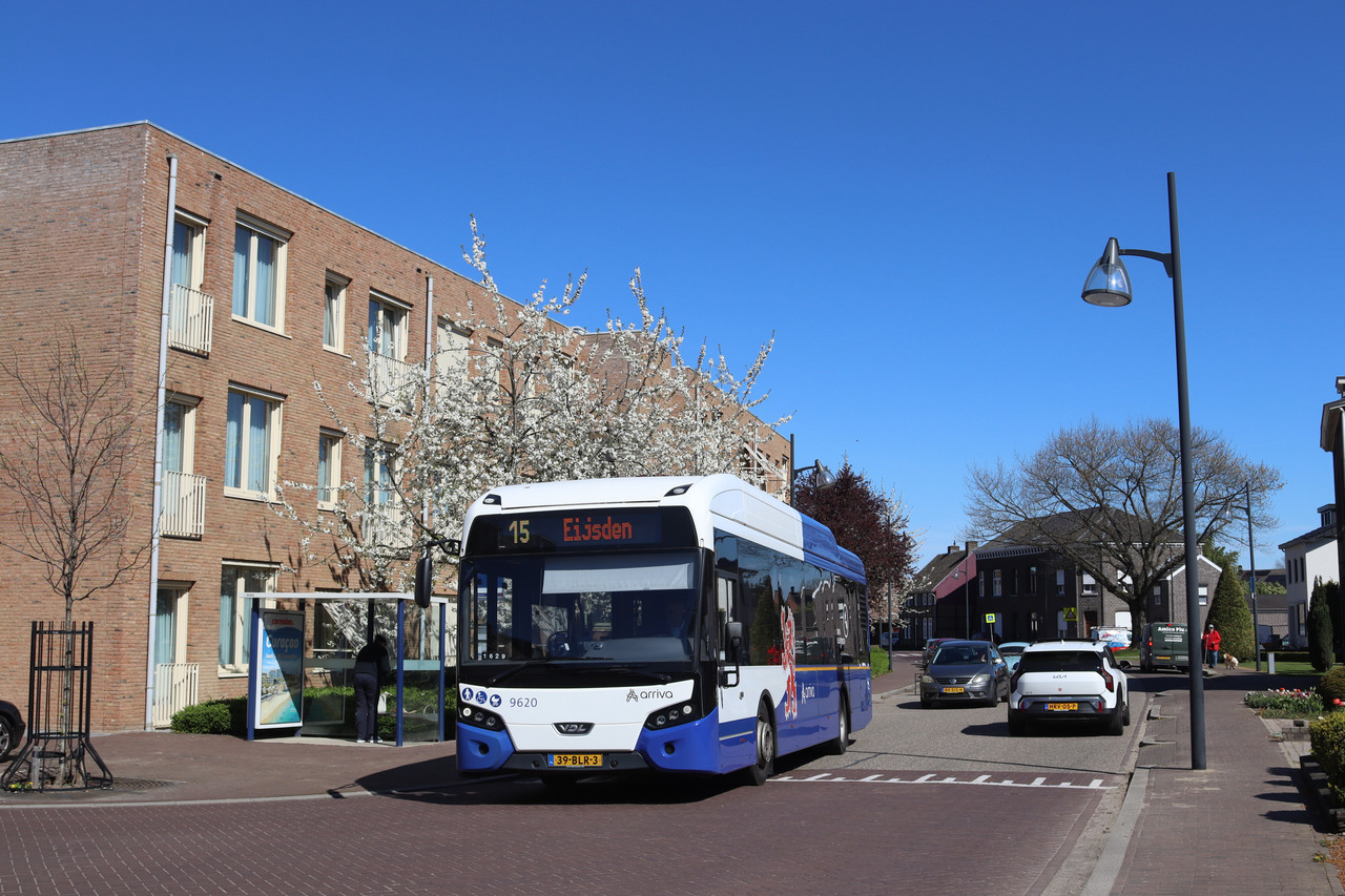 ZLBG (4)