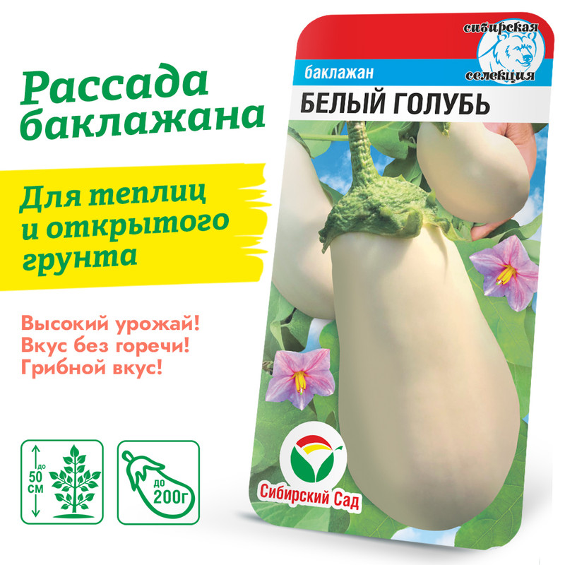 Баклажан Белый голубь