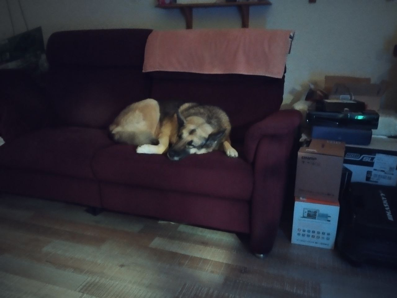 photo 2025 11 22 20 07 48