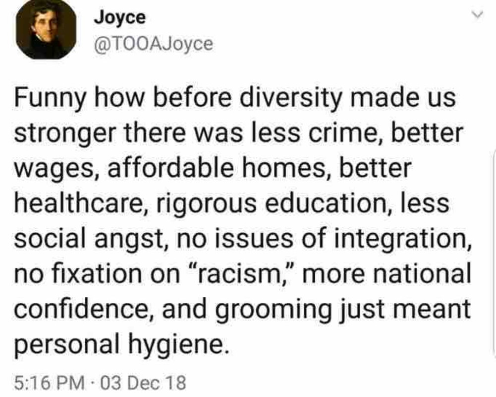 funny begire diversity