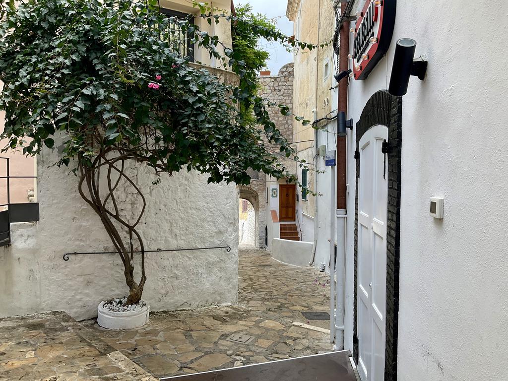 Жаркий сентябрь на побережье Тирренского моря. Жаркий сентябрь на побережье Тирренского моря.