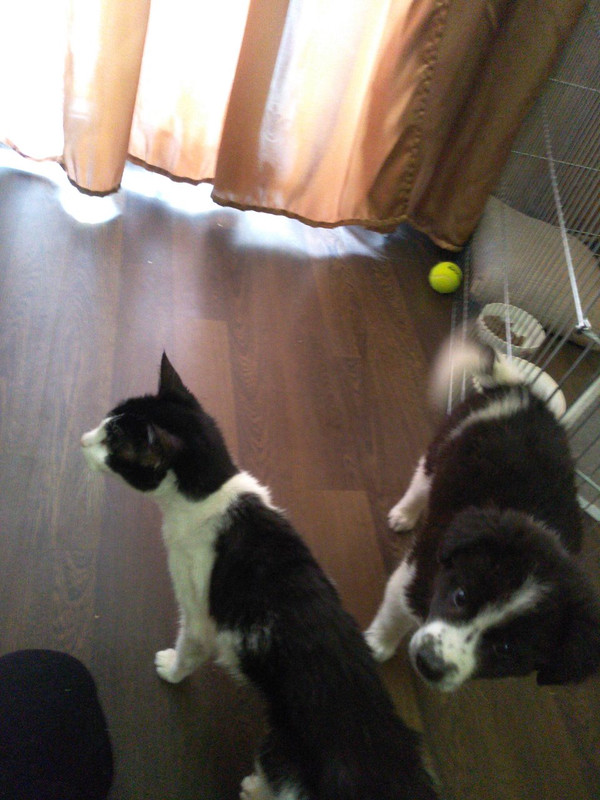 I4i8BzVrjuZFEBzQ2WZ8f5Av1K17pfnN