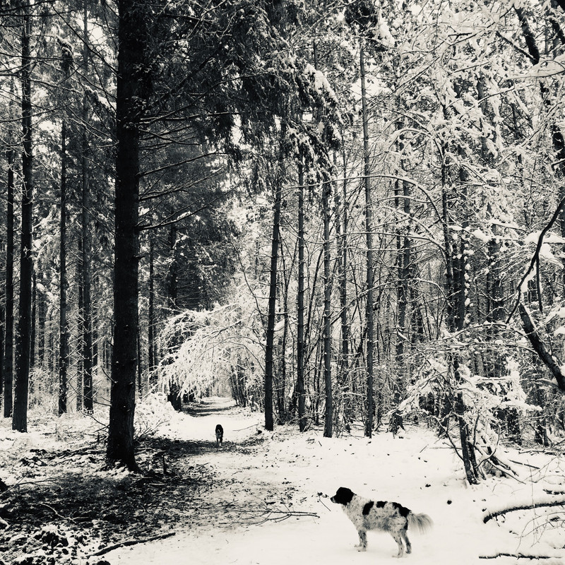 F87882AD-AA9D-4A81-BE70-A8698694F49B