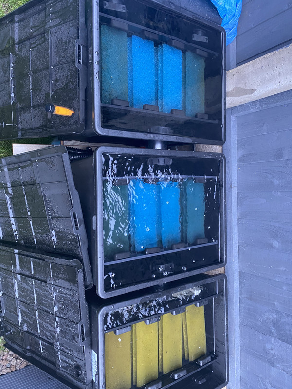 75D36231-4C09-42AF-9DB7-0BF57216DFD7