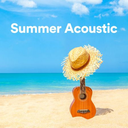 dd8ce18a 4f92 451a b9d3 99c0a12f50b6 - VA - Summer Acoustic (2020) flac