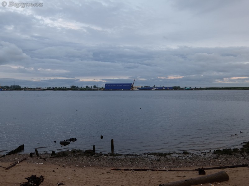 DSCF7649