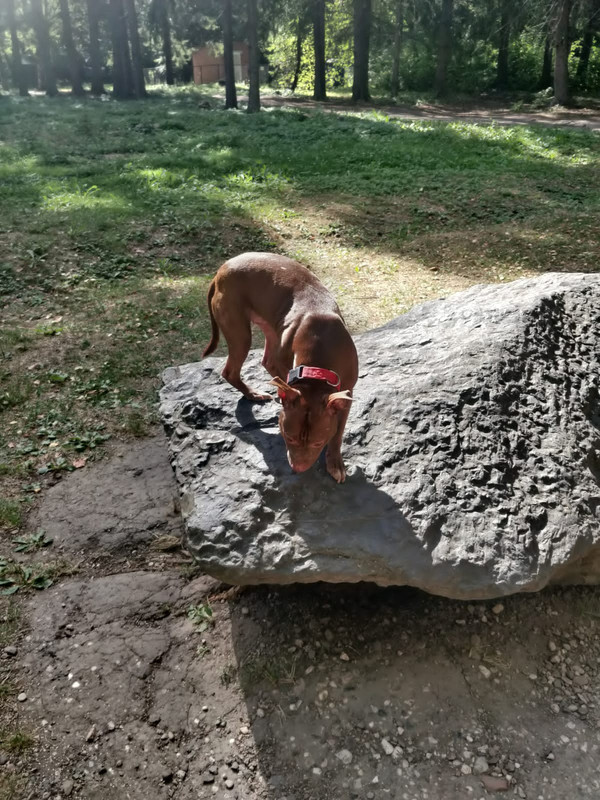 4C44C375-D636-4FF3-A839-428E69494ABD