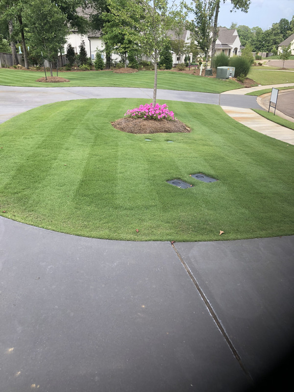 Yard And Golf Green Build The Lawn Forum