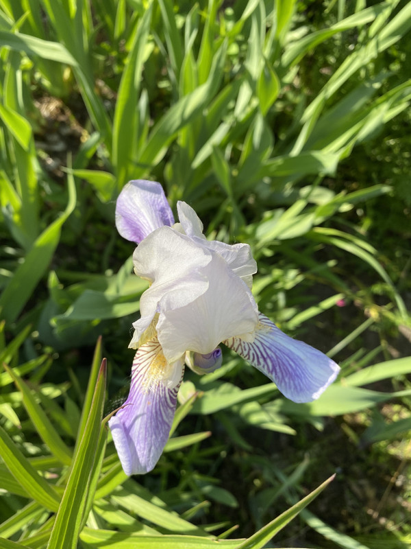 598F0475-2DC1-4152-A7FC-E3D106A149F0