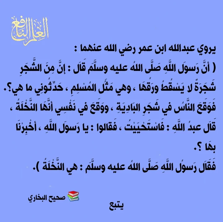 IMG_20241222_094446_663