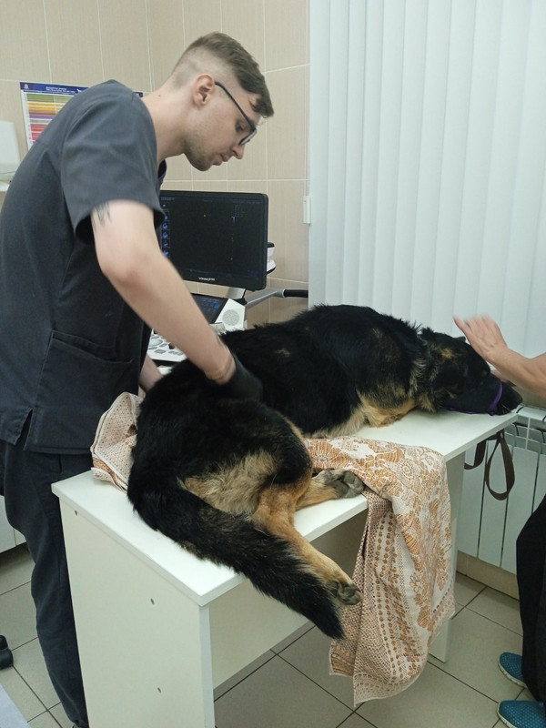 16501C28-726B-4124-BF9C-9ADF5DB1EE00