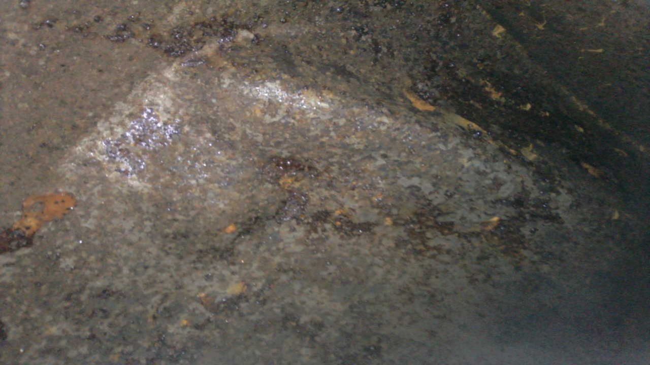 62A5F67F-13B0-4F03-BBE6-DFC26726A51C