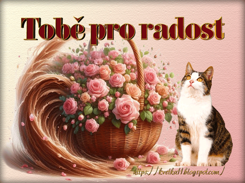t-OBE-PRO-RADOST.gif