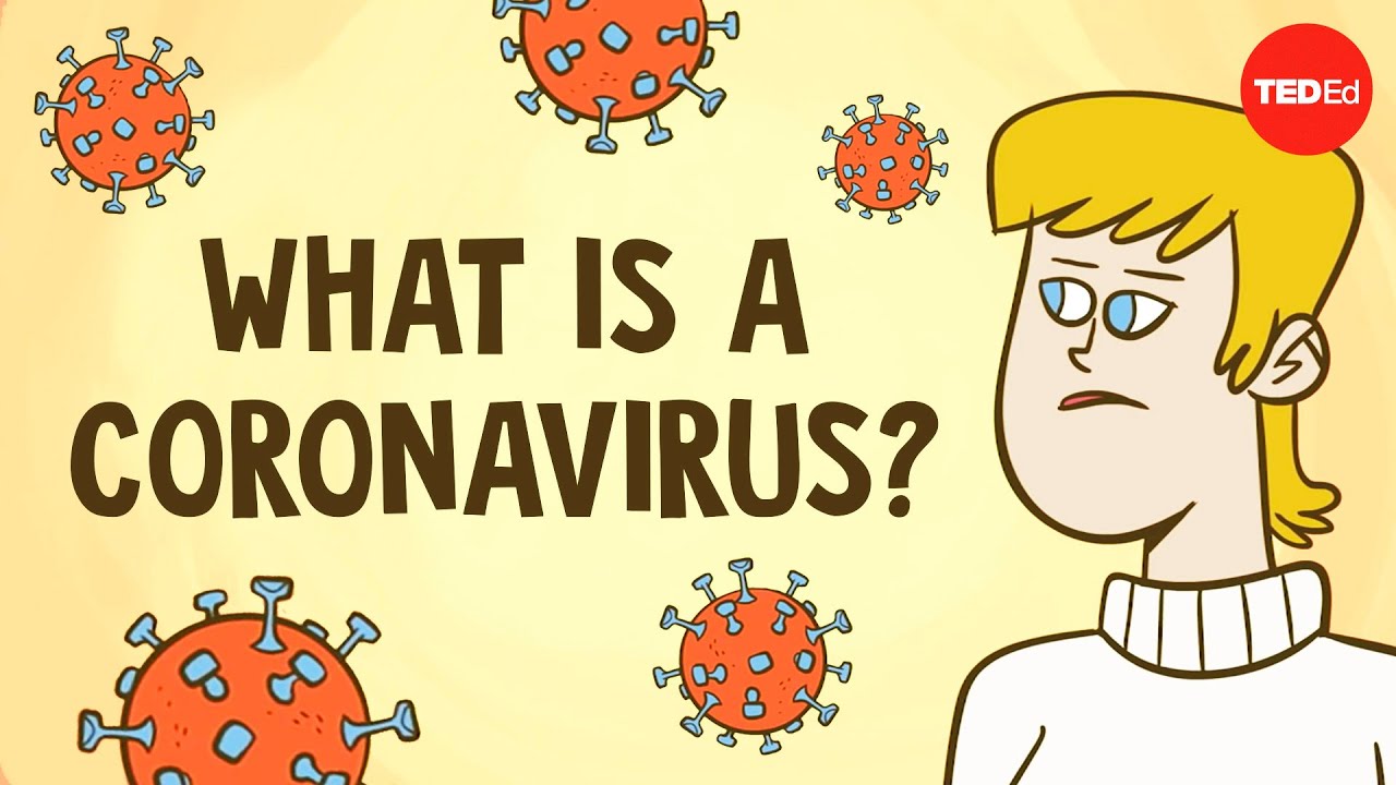 what-is-a-coronavirus