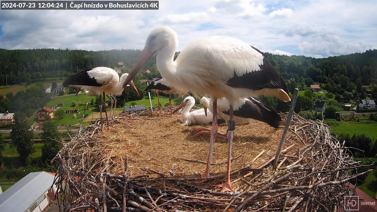 Tiešraidē no uzņēmuma KARA stārķa skursteņa Bohuslavicē pie Trutnovas 12-21-44 screenshot (1)