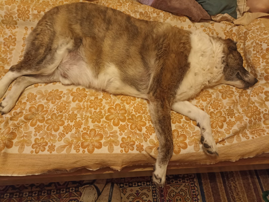 B947EA3F-7C45-4406-A696-678F62311F08