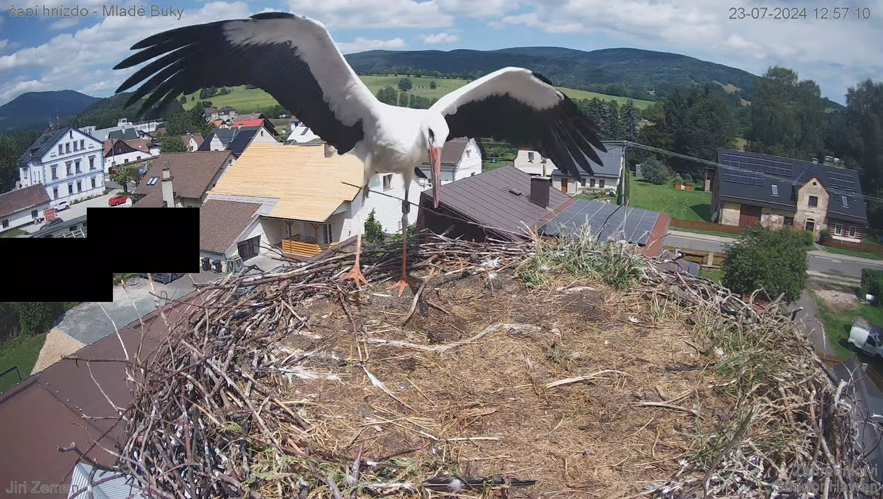 Tiešraides kamera — Mladé Buky — stārķa ligzda 10-31-48 screenshot
