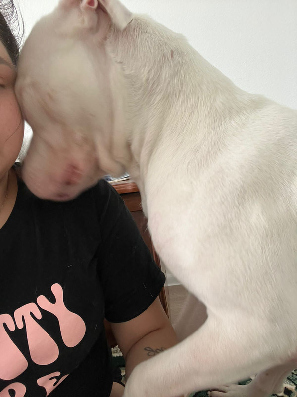 BE6F327A-E505-4DA6-8C92-036A18A9BA36