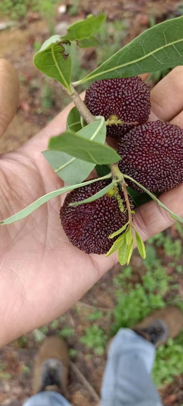 8848D31B-F293-481B-B8F6-216316836B67