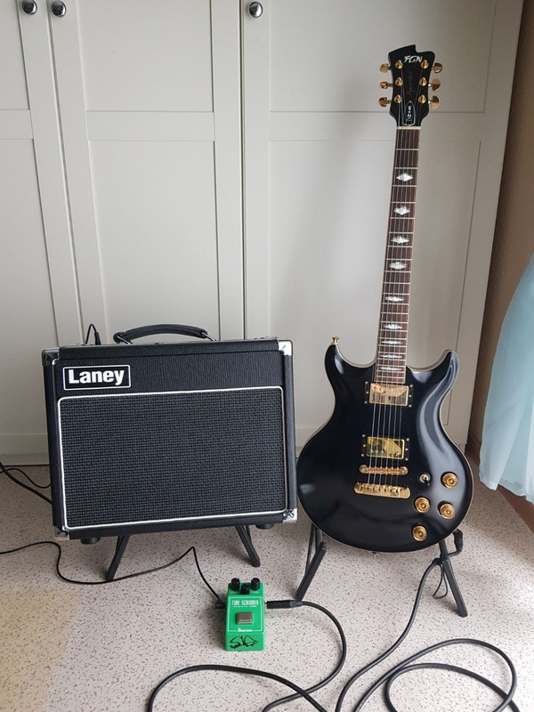 1.13 FGN ERS mit Laney VC15 und TS808 -1