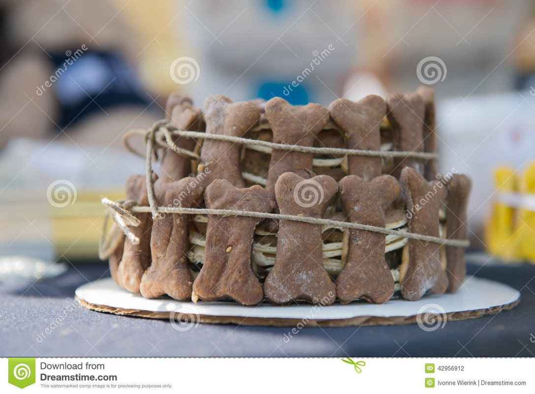 gâteau-d-anniversaire-pour-des-chiens-42956912