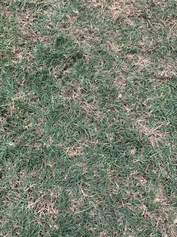 EF857936-6054-4F20-8B6A-BACED9798FD9