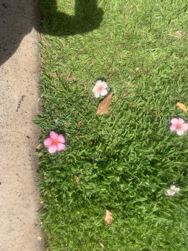 91C3E614-D97E-447A-89F3-3E4810B005A2