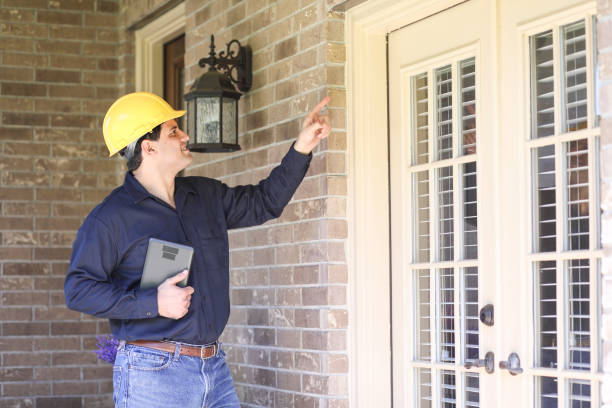 Termite control inspection