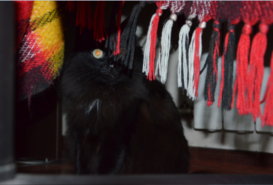 Безымянный45