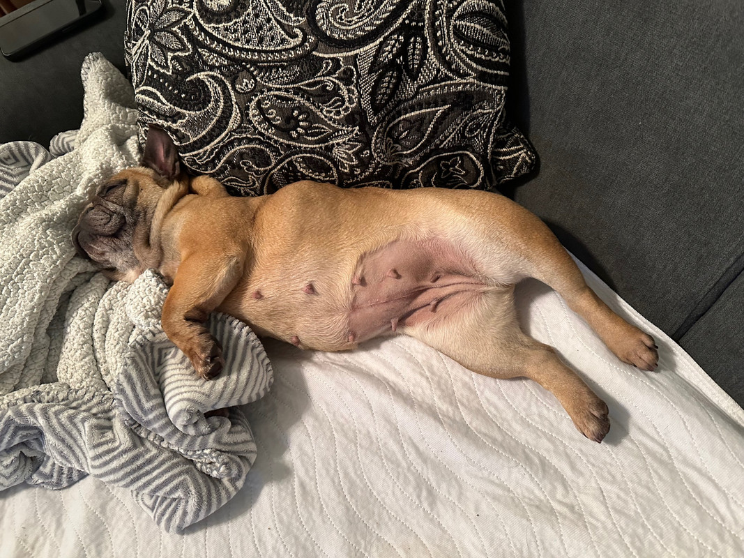 0BC28316-1720-4CF1-9109-965055F62EBD