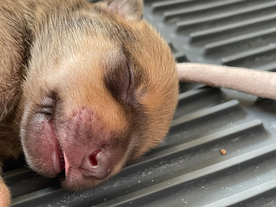 C16F4C73-B185-469E-9EC1-7725C3C15938