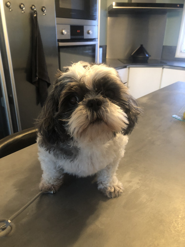 [Image: IMG-2336.jpg]