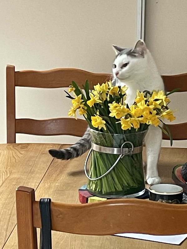 IMG-15beec1c4304d304c066ecc8f29e86e5-V