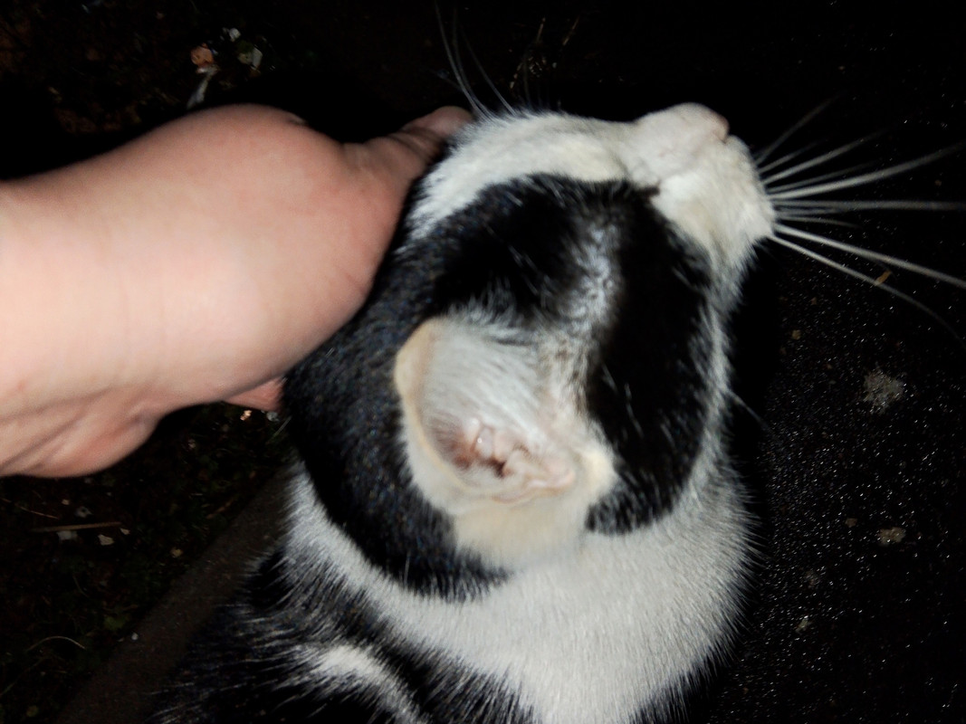 Дизайн без названия (25)