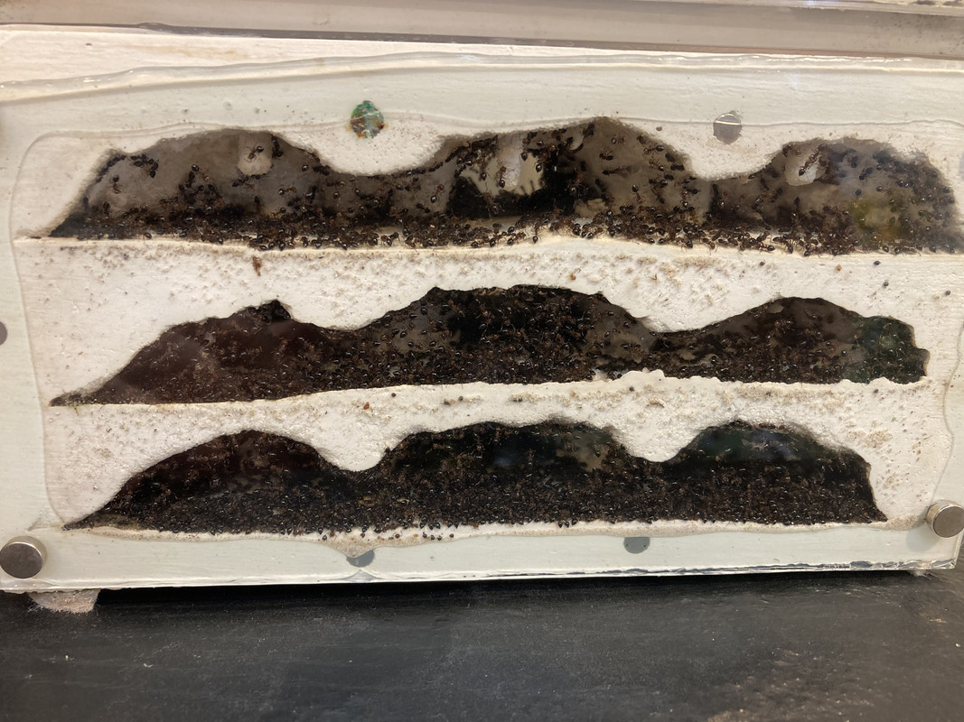 483A20E0-9193-4607-9144-6E1C8210867F