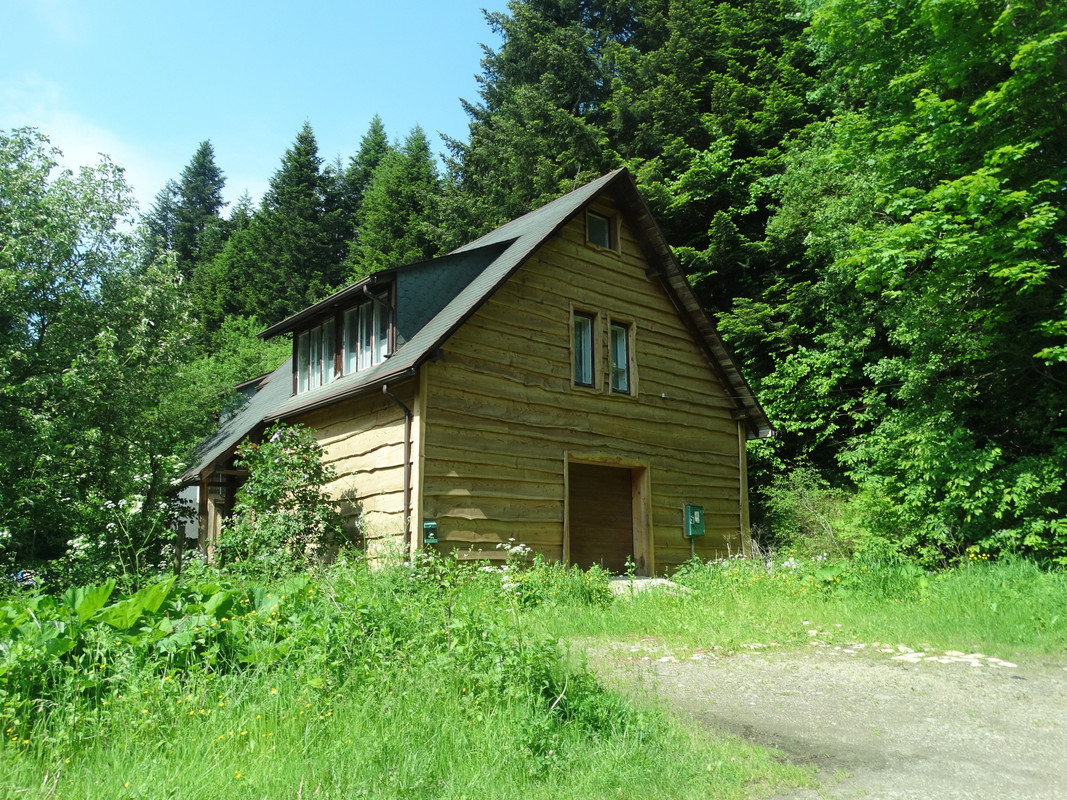 046 - DSC01091 (Czesio1)