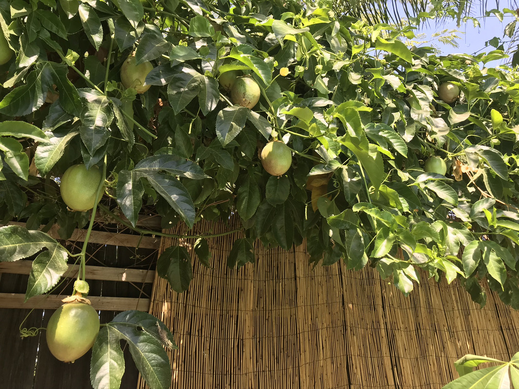 65EF8ADD-F9A8-4A0E-A224-CA9E9804541C