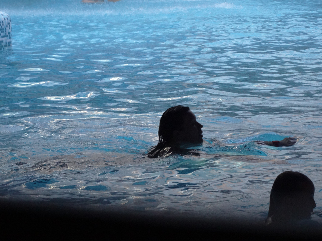 12.20 - DSC05759 (Czesio1)