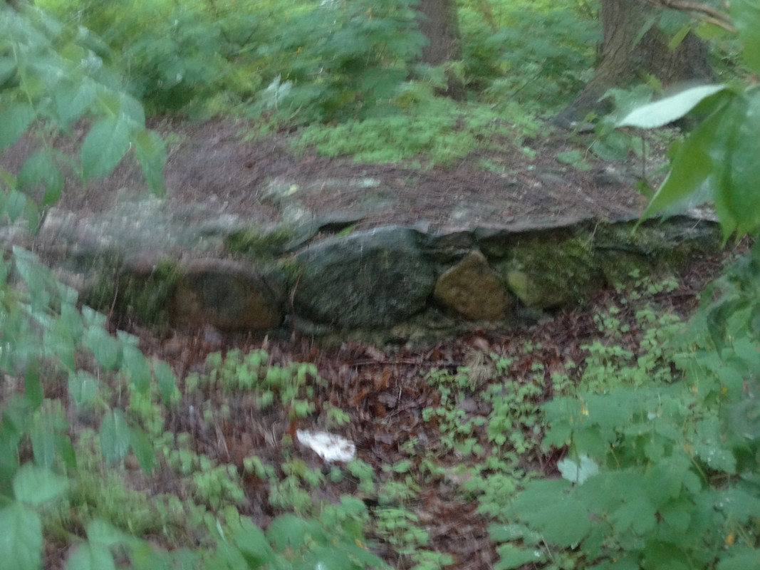 04 - DSC03988 (Czesio1)