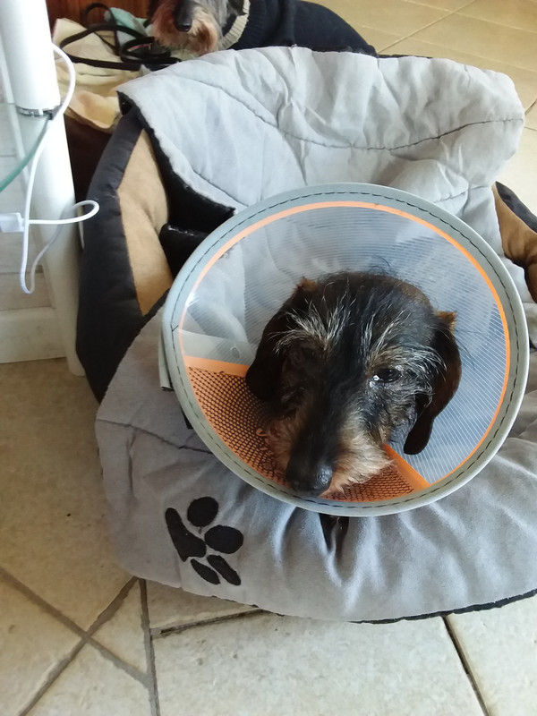 [Image: 20240113-155510.jpg]