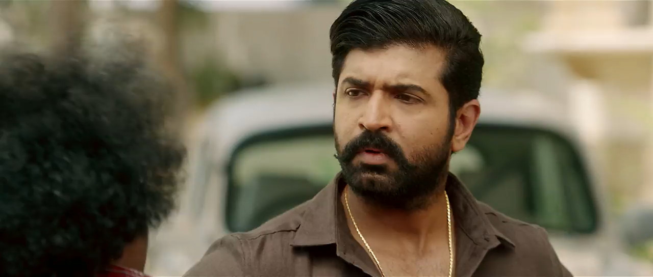 Yaanai 2022 WebRip [Hindi + Tamil] 480p 720p ESub Screenshot